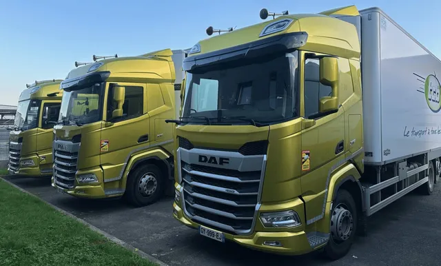 Porteurs frigorifiques DAF de la flotte TCB