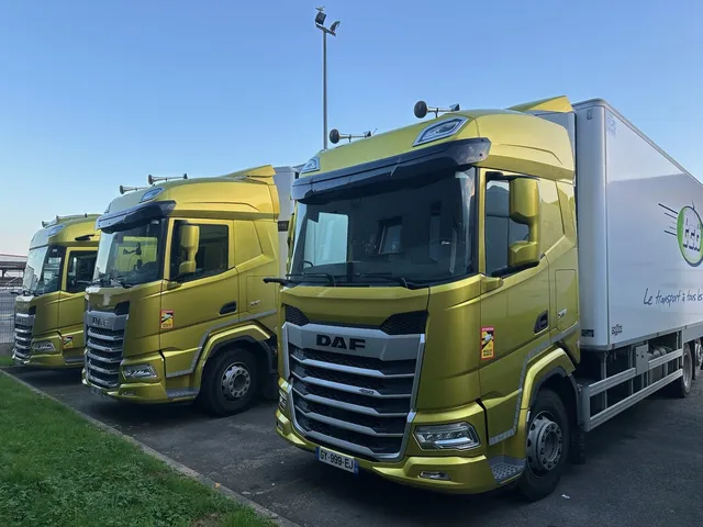 Trois porteurs frigorifiques DAF de la flotte TCB